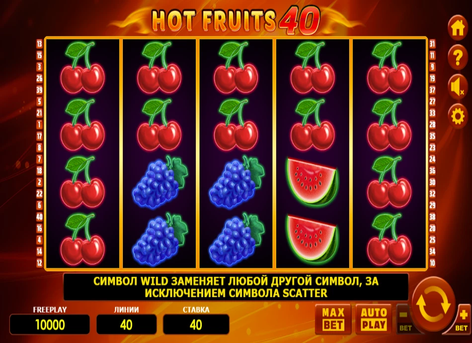 Игровое поле Hot Fruits 40